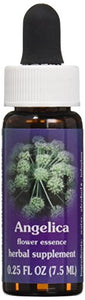 Flower Essence Services - Angelica Flower Essence - 0.25 oz.