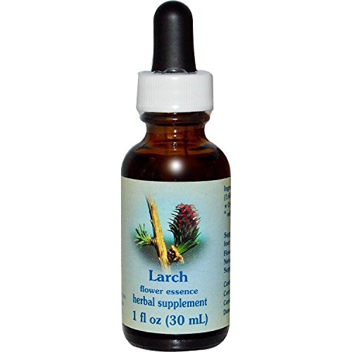 Flower Essence Services, Larch  Flower Essence - 1 fl oz.