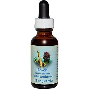 Flower Essence Services, Larch Flower Essence - 1 fl oz.