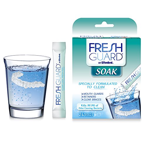 Efferdent Fresh Guard Soak Crystals - 1 ea