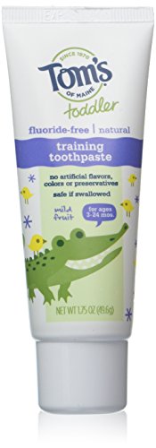 Tom's of Maine - Toddler Fluoride-Free All Natural Training Toothpaste Mild Fruit - 1.75 oz.