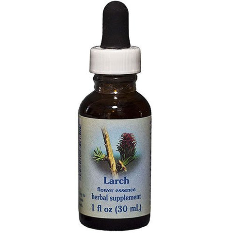 Flower Essence Services - Healing Herbs Dropper Larch - 0.25 oz.