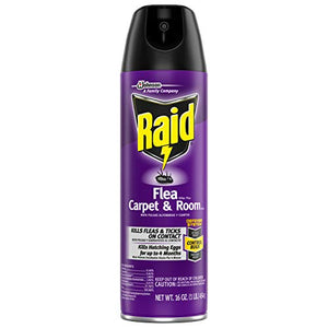 Raid Flea Killer - 454 gm