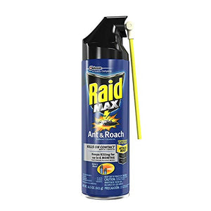 Raid Max roach insect killer aerosol spray on bugs - 14.5 oz